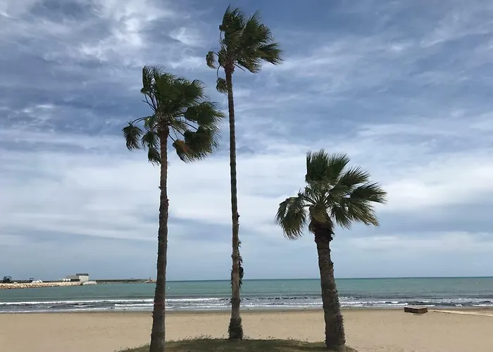 A 100m De La Playa * Torrevieja